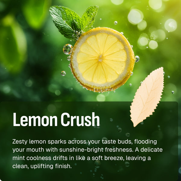 Experience RELX Global Nicotine Pouch RELX Nicotine AirPouch Lemon Crush Sunshine-bright freshness 14mg/piece Nicotine  < 1mm Thin 🍋
