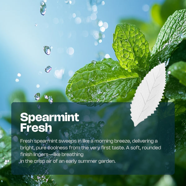 Experience RELX Global Nicotine Pouch RELX Nicotine AirPouch Spearmint Fresh Pure Coolness 14mg/piece Nicotine  < 1mm Thin 🌿
