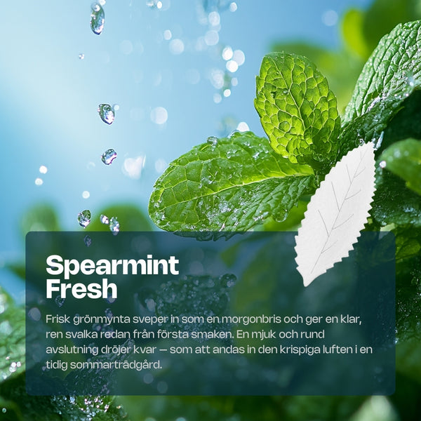 RELX AirPouch | Nicotine Pouch
