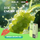 RELX Creator Pro vape device in Green Grape Ice flavor, featuring fresh green grapes and a dynamic water splash.
